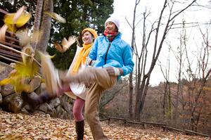 コストパフォーマンス抜群！安心・安全な車検サービスの選び方完全ガイド