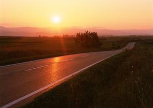 【最新版】名古屋で選ぶならココ！カーオーディオ専門店のプロが教える高品質サウンドと安心の取り付け術
