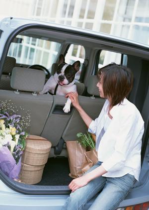 愛知の車検の依頼する前に下調べを