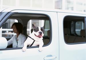 車検即日が強みの指定工場完備の専門店