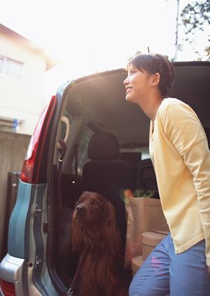 愛知での車検を徹底解説！料金、サービス、予約方法を全網羅した完全ガイド